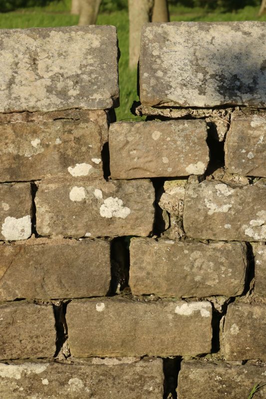 Stone Wall Repair in Boynton Beach, FL
